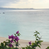 沖縄旅行、自然も食事も楽しみたい場所7選